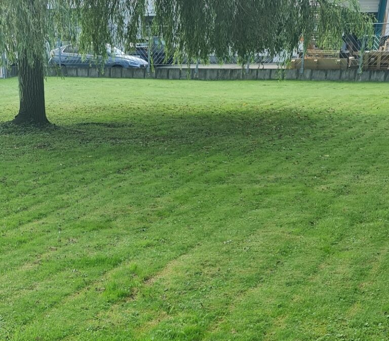 Rasen mähen